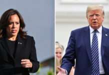 Präsidentschaftswahl in den USA: Auch Frankreich blickt gespannt über den Atlantik Harris_Trump