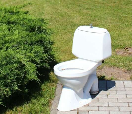 Welttoilettentag: Warum unsere stillen Örtchen laute Klimasignale senden Welttoilettentag