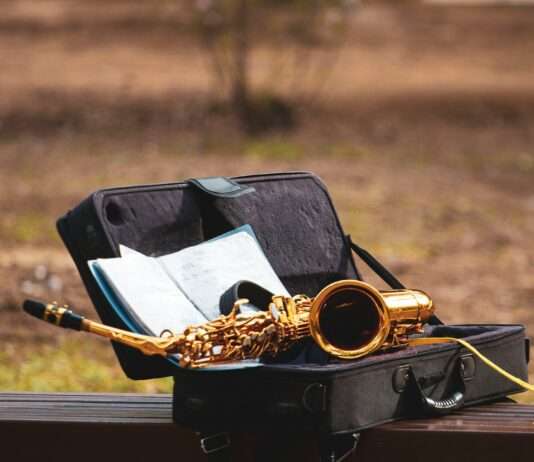 Die Magie des Bambus aus der Provence: Wie Musik zum Leben erwacht Saxophone