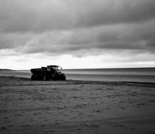 Entdeckung von Leichen im Pas-de-Calais: Tödliche Migration über den Ärmelkanal Strand_Calais