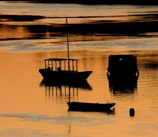Tradition und Innovation: Wie die Fischer der Loire ihre Leidenschaft am Leben halten Loire_Fischer