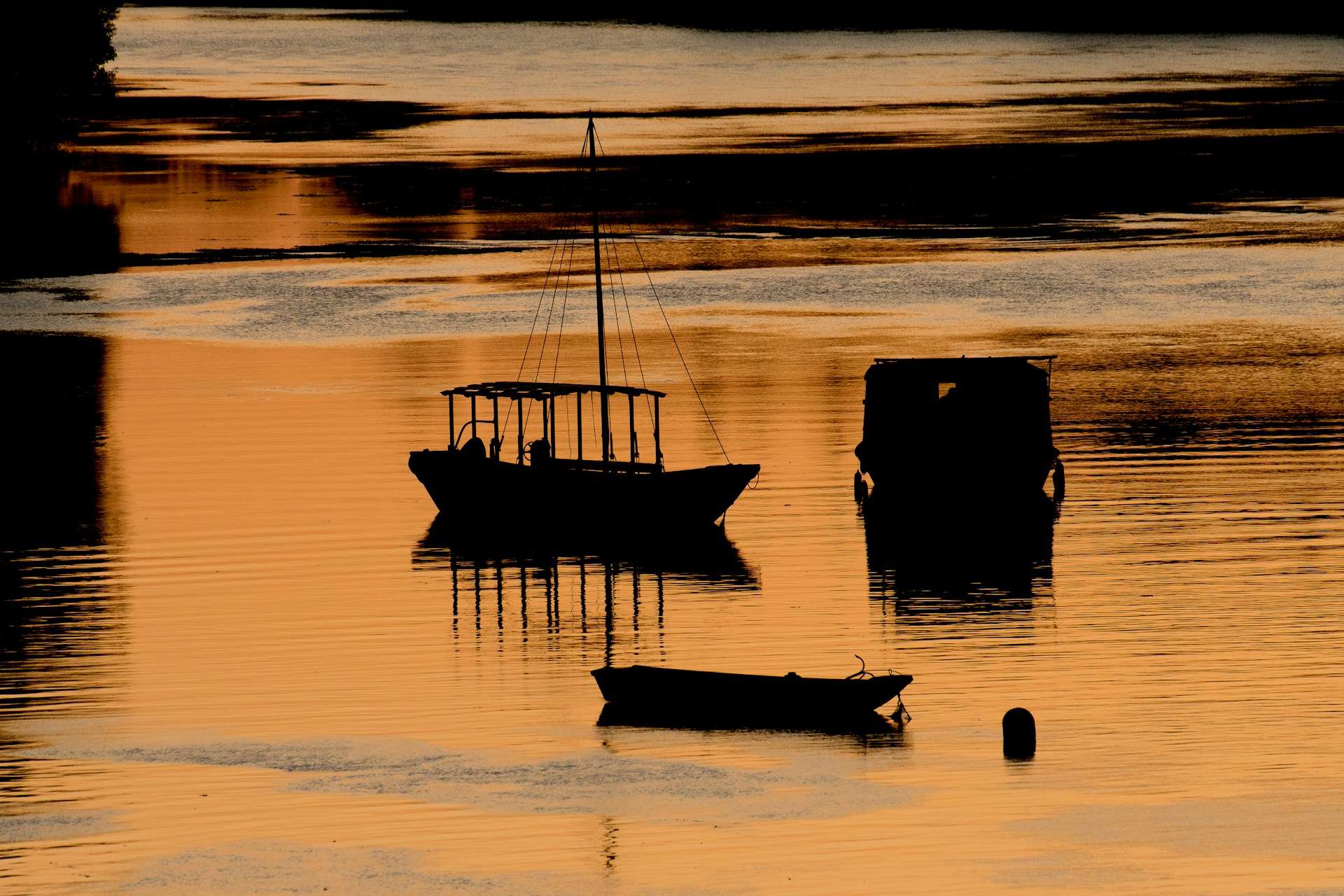 Tradition und Innovation: Wie die Fischer der Loire ihre Leidenschaft am Leben halten