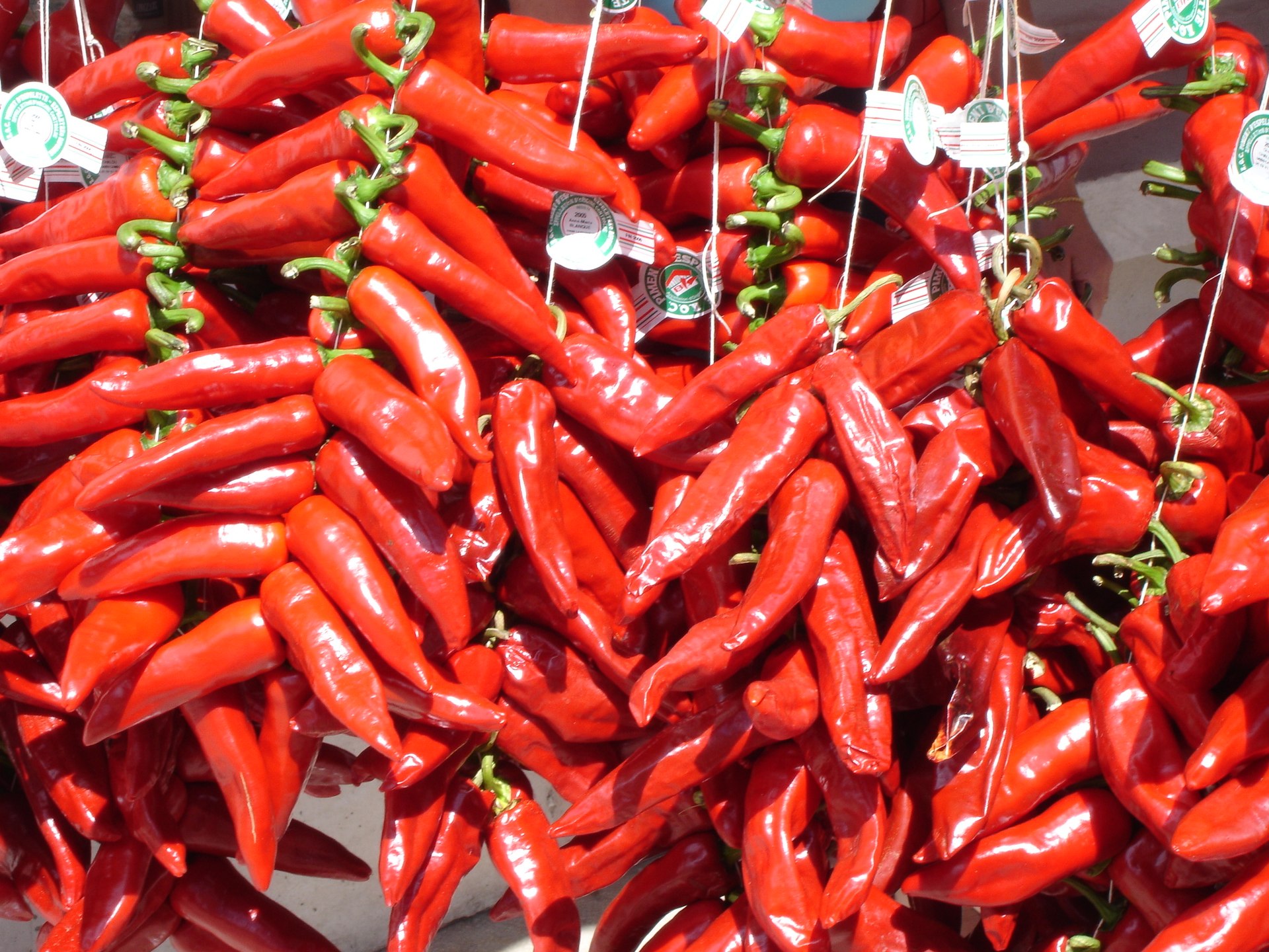 Piment d’Espelette in der Krise: Wetterchaos bedroht eine stolze Tradition