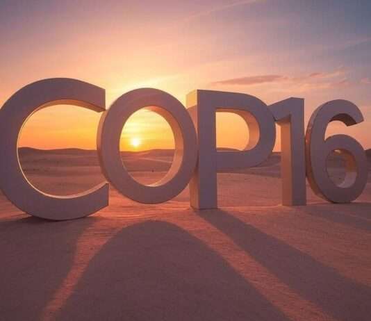 COP16: Kampf gegen die Dürre scheitert erneut Cop16_Illustration