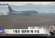 Flugzeugkatastrophe in Südkorea: Mehr als 150 Tote nach Brand Flugzeugunfall_Suedkorea_ScreenX