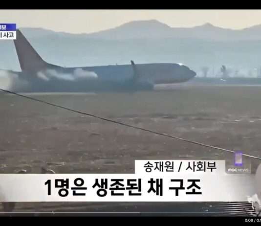 Flugzeugkatastrophe in Südkorea: Mehr als 150 Tote nach Brand Flugzeugunfall_Suedkorea_ScreenX