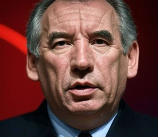 Dringende Aufgaben für Bayrous Regierung: Budget, Mayotte, Renten und mehr Francois_Bayrou_Illustration6