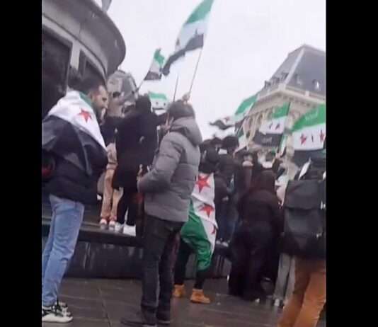 Sturz von Baschar al-Assad: Syrische Diaspora versammelt sich in Paris Syrer_feiern_Paris_ScreenX