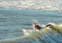 Weihnachtsbaden an der Côte d’Azur: Rekordbeteiligung in Cagnes-sur-Mer Weihnachtsschwimmen