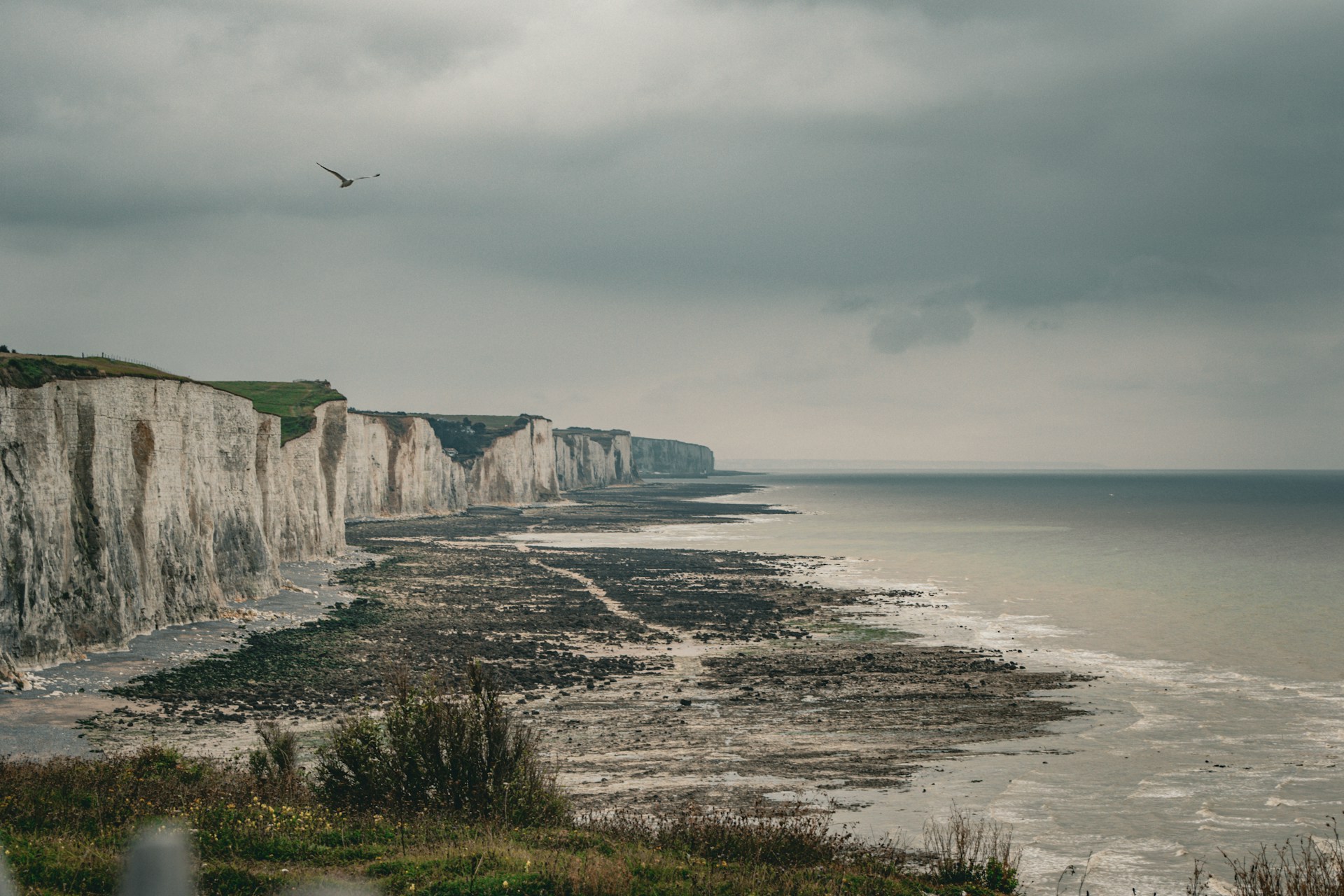 Magische Momente in der Somme: Eine Reise durch Geschichte, Natur und Genuss