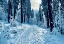 Schneemassen in den Pyrenäen: Verkehrschaos in der Region des Luchon-Tals Schnee_Illustration