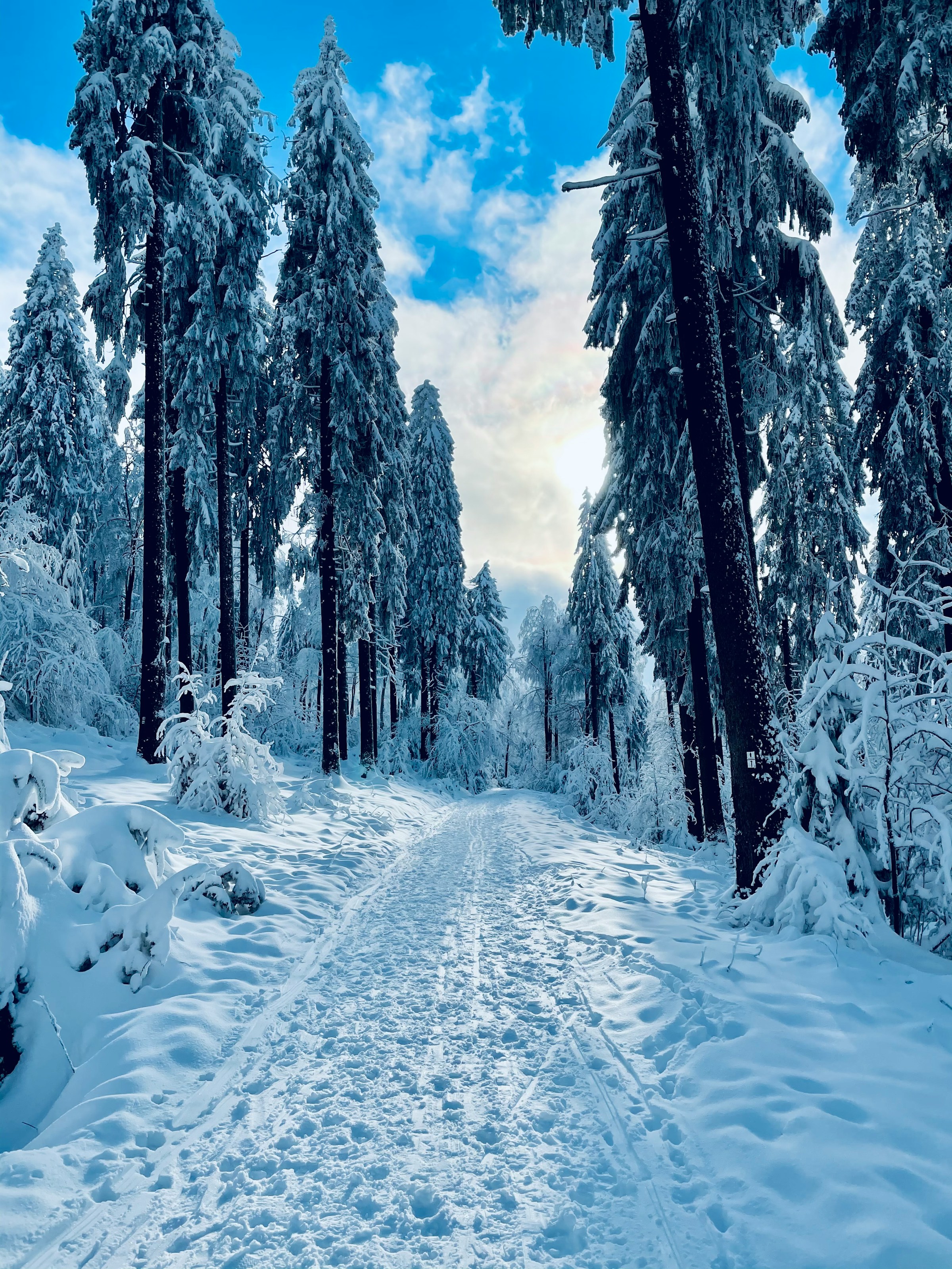 Schneemassen in den Pyrenäen: Verkehrschaos in der Region des Luchon-Tals