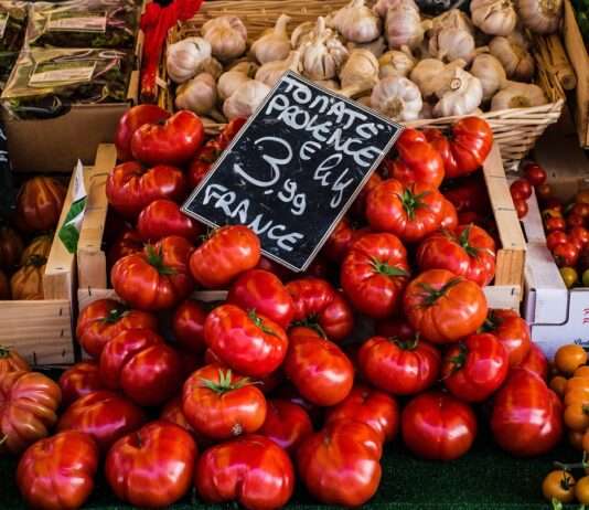 Die Halles de Nîmes – Frankreichs kulinarisches Juwel im Herzen des Gard Tomaten_Provence