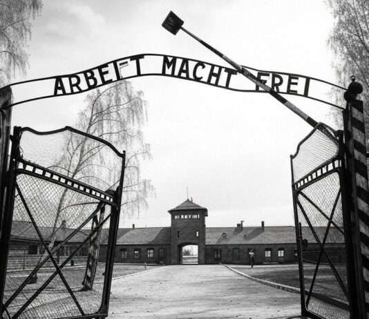 Erinnern für die Zukunft: Der Tag des Gedenkens an die Opfer des Nationalsozialismus Auschwitz_Birkenau_Illustration