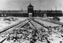 80 Jahre Befreiung von Auschwitz: Pariser Ausstellung beleuchtet nationalsozialistische Fotografien KZ_Auschwitz