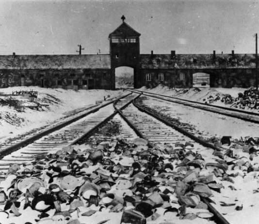 80 Jahre Befreiung von Auschwitz: Pariser Ausstellung beleuchtet nationalsozialistische Fotografien KZ_Auschwitz