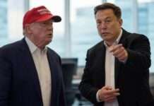 Steuerlücke mit Ansage: Wie der Umbau der US-Steuerbehörde zu einem Milliardenverlust führen könnte Donald_Trump-Elon_Musk_Illustration