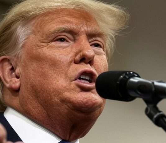 Handelsstreit mit der EU: Trump kündigt Strafzölle auf europäische Waren an Donald_Trump_Mikrofon_Illustration