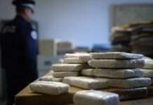 Rekordfund am Autobahnkreuz: 1,5 Tonnen Kokain bei Saint-Arnoult gestoppt Drogen_Kokain_Illustration