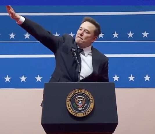 Tesla unter Beschuss: Wenn politische Gesten zum wirtschaftlichen Risiko werden Elon_Musk_Gruss_ScreenX