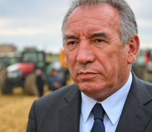 Krise in der Landwirtschaft: Französische Bauern fordern Taten Francois_Bayrou_Landwirte_Illustration