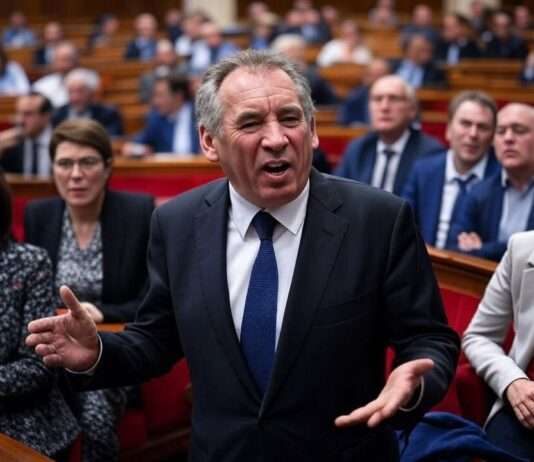 „TVA sociale“: François Bayrou entfacht alte Debatte neu – Was steckt hinter dem umstrittenen Vorschlag? Francoius_Bayrou_Parlament_Illustration