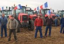 Französische Bauern schlagen Alarm – „Unsere Felder sind kein Spielplatz für Freihandel“ Protest_Landwirte_Illustration