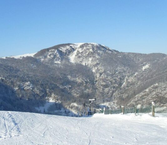 Elsass: Winterzauber im Herzen der Vogesen – Schneeschuhwanderung am Ballon d’Alsace Sommetduballond'alsace