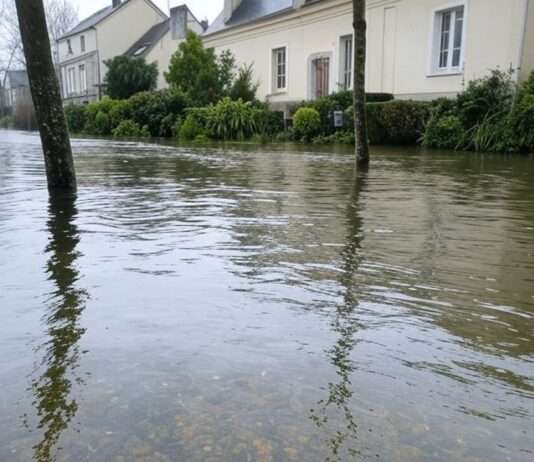 Rekordflut in Ille-et-Vilaine: Wenn die Natur ihre Grenzen aufzeigt Überschwemmung_Illustration