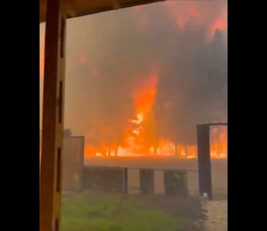 Zerstörerische Waldbrände in Argentiniens Patagonien: Epuyén kämpft ums Überleben Waldbrand_Patagonien_ScreenX