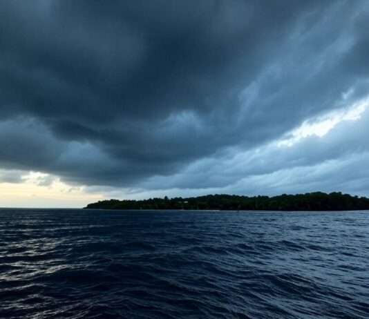 Zyklon Dikeledi bedroht Mayotte: „Rote Alarmstufe wird heute Abend ausgelöst“ Zyklon_Pazifik_Illustration