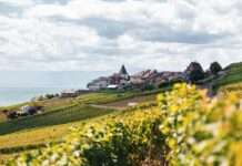 Ländliche Kommunen locken mit günstigen Grundstücken: Ein französisches Erfolgsmodell? Ländlich_Dorf
