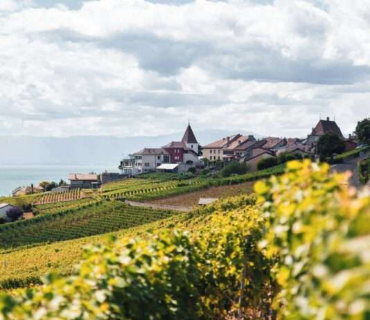 Ländliche Kommunen locken mit günstigen Grundstücken: Ein französisches Erfolgsmodell? Ländlich_Dorf