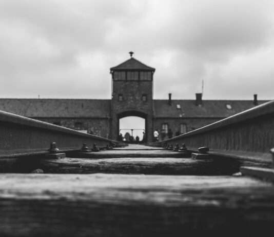 80 Jahre nach der Befreiung von Auschwitz: Eine Mahnung gegen Hass und Vergessen Auschwitz-Birkenau