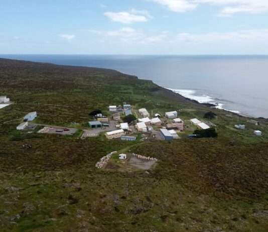 Feuerkatastrophe auf der Île Amsterdam: Über die Hälfte der Insel verbrannt 2021-11_Amsterdam_Island_-_Martin-de-Viviès_21