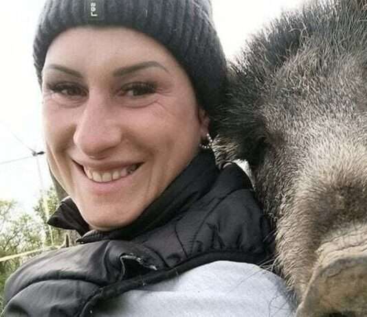 Happy End für Rillette: Die berühmte Wildsau darf bleiben Wildschwein_Rillette