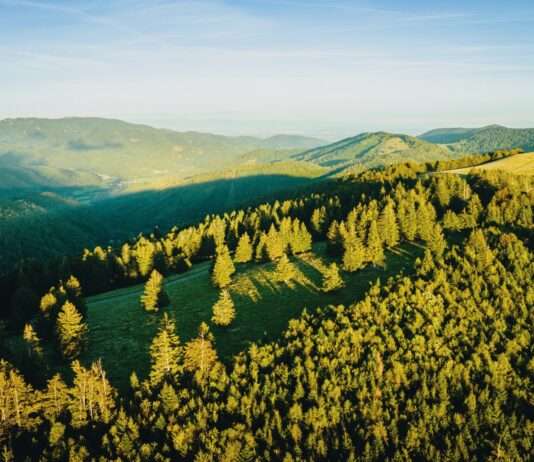 Jubiläen und Feste in den Südvogesen – Ein Jahr voller Geschichte, Kultur und Naturerlebnisse La-Planche-des-Belles-Filles_Ludovic_CAILLOT_