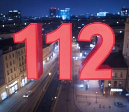 Europäischer Tag des Notrufs 112: Ein Leben retten per Anruf – doch wie effizient ist das System? Notruf_112_Illustration