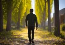 Pollenalarm in Frankreich: 30 Départements auf roter Warnstufe Pollenflug_Illustration