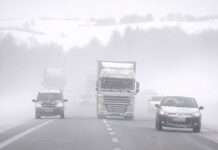 Schneesturm im Massif Central: Verkehrschaos und Winterzauber Schneesturm_Landstrasse_Illustration