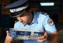 Rekordfund: 76 Tonnen geschmuggelte Zigaretten in Neukaledonien sichergestellt Zigarettenschmuggel_Zoll_Illustration