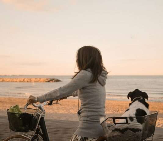 Vendée – Frankreichs Radelparadies zwischen Küste und Natur Fahrrad_Küste