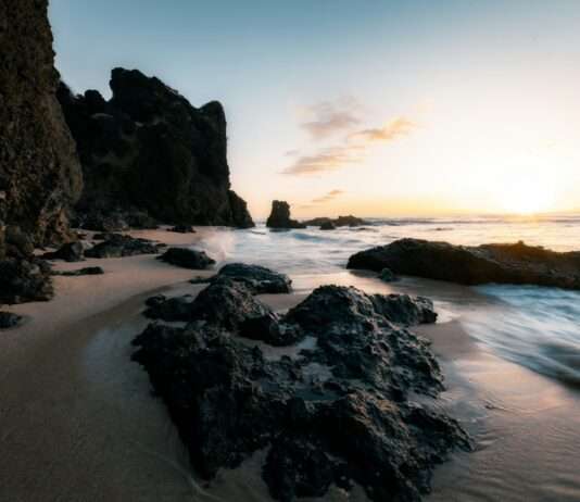 Künstliche Intelligenz rettet Korallenriffe: Ein Hoffnungsschimmer für La Réunion La-Reunion