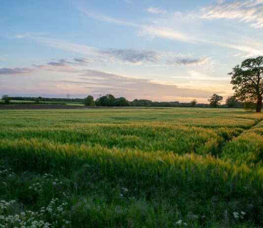 Frankreichs Landwirtschaft zwischen Export und Selbstversorgung: Ein ungenutztes Potenzial? Felder