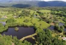 Das „Kleine Finnland“ in Frankreich: Ein verborgenes Paradies in der Haute-Saône Mille_Étangs