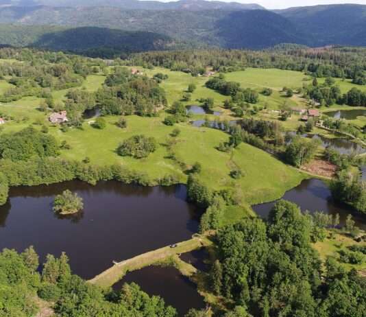 Das „Kleine Finnland“ in Frankreich: Ein verborgenes Paradies in der Haute-Saône Mille_Étangs
