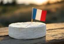 Listeriose-Alarm in Frankreich: International verkaufter Käse wird zurückgerufen – zwei Todesfälle, viele Fragen Camembert_Käse_Frankreich_illustration