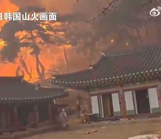 Flammenmeer in Südkorea: Wenn der Wald zur Todesfalle wird Feuer_Südkorea_ScreenX