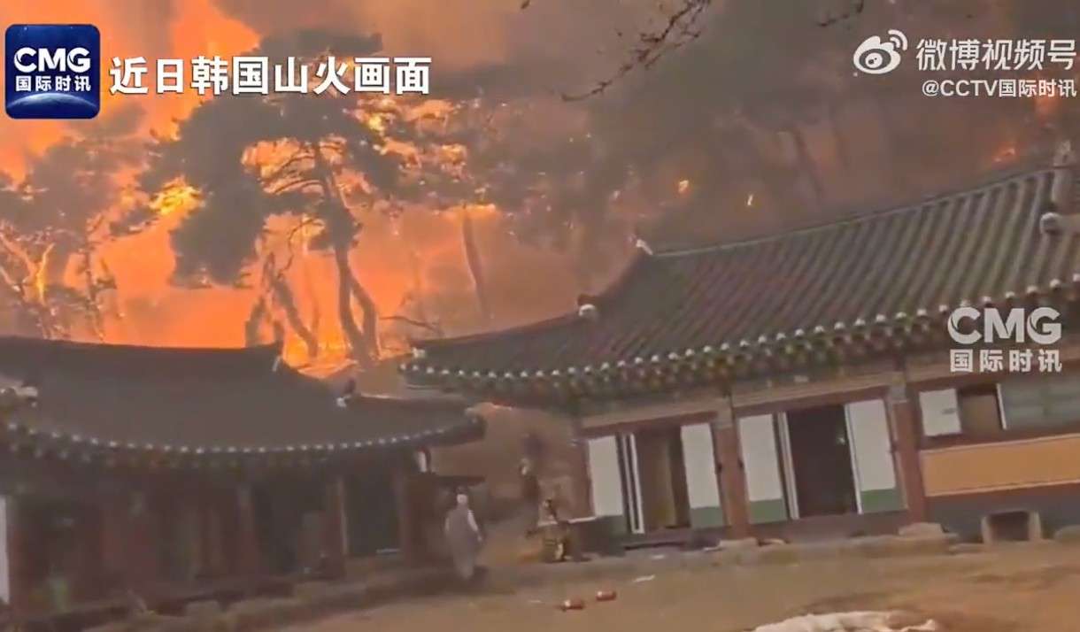 Flammenmeer in Südkorea: Wenn der Wald zur Todesfalle wird