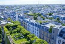 Paris wird grün – Realität oder Wunschdenken? Grüne_Dächer_Paris_Illustration